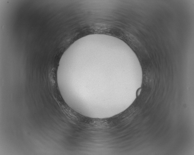 X0000073481346200608281539