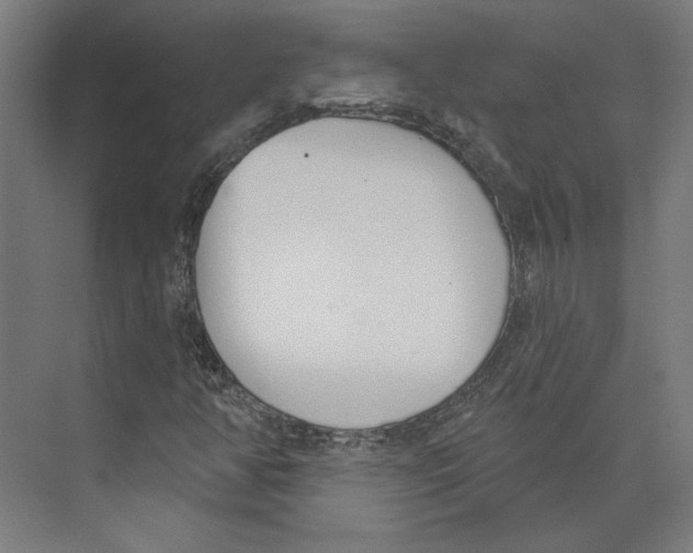 X0000073481350200608281539
