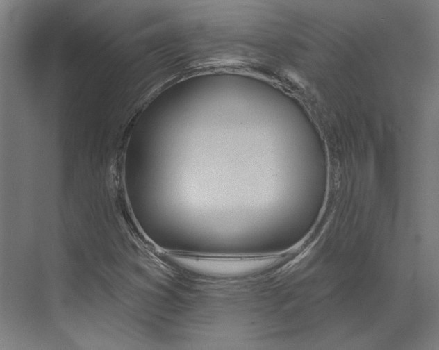 X0000073481353200608281539