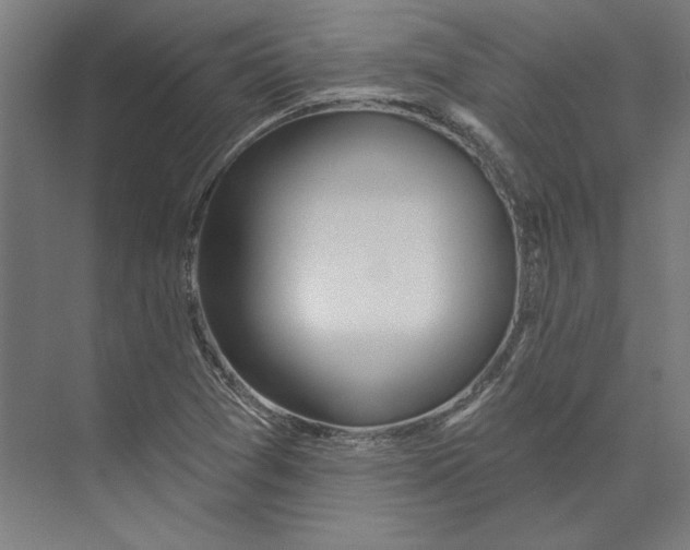 X0000073481361200608281538