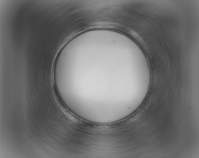 X0000073481370200608281538