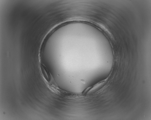 X0000073481372200608281538