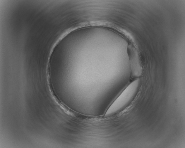 X0000073481373200608281538
