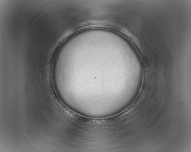 X0000073481411200608281537