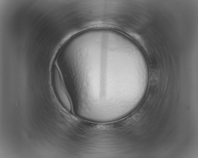 X0000073481419200608281538