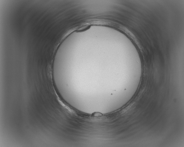 X0000073481433200608281538