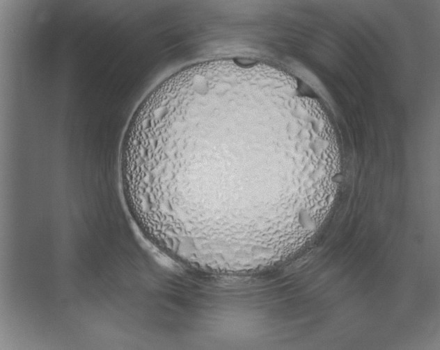 X0000073481439200608281538