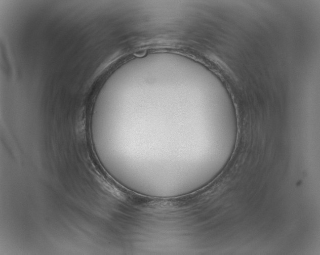 X0000073481450200608281537