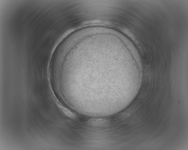 X0000073481474200608281537