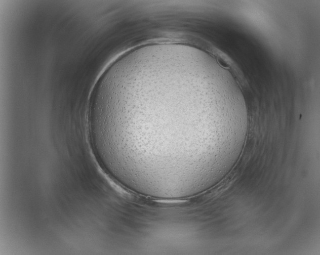 X0000073481487200608281536