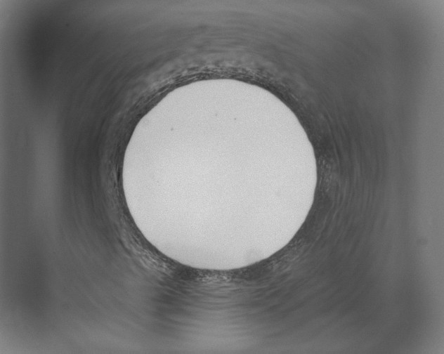 X0000073481489200608281536