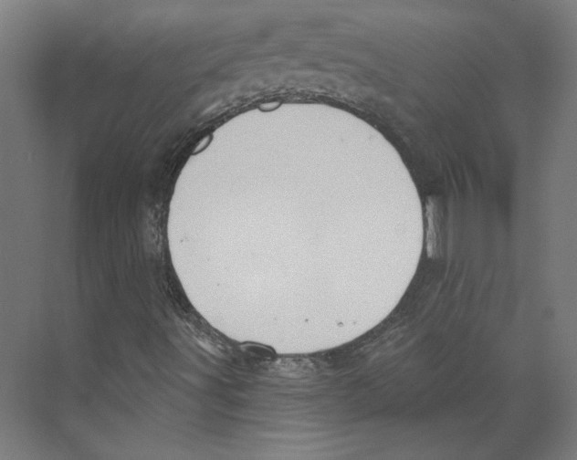 X0000073481491200608281536