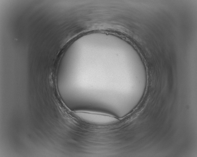 X0000073481497200608281536