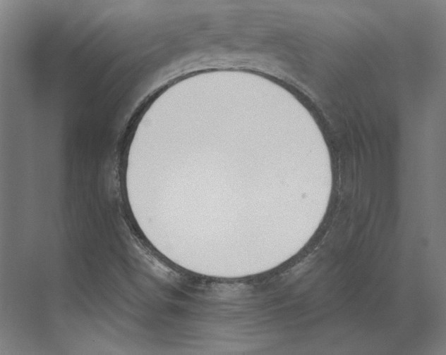 X0000073481498200608281536