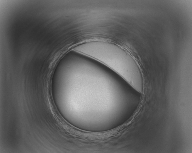 X0000073490001200607310929