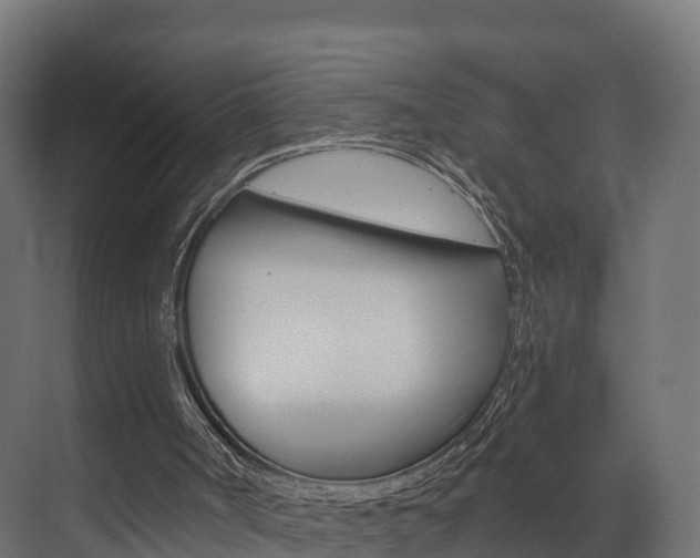 X0000073490002200607310929