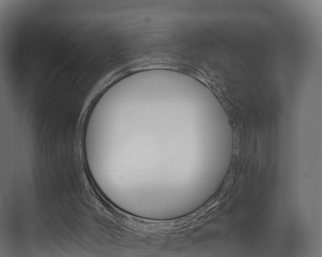 X0000073490004200607310929
