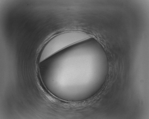 X0000073490005200607310929
