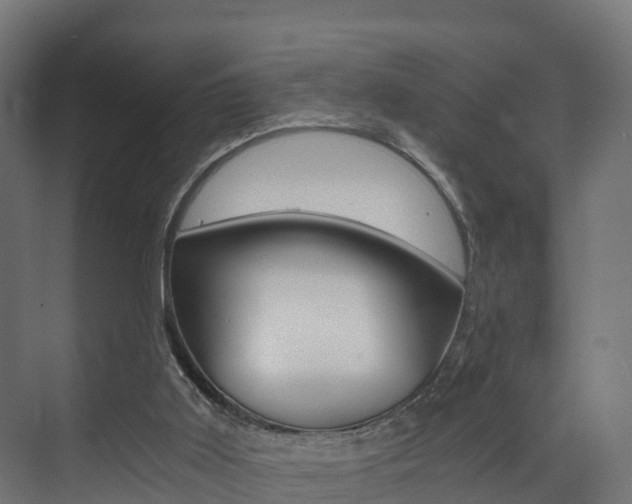 X0000073490011200607310929