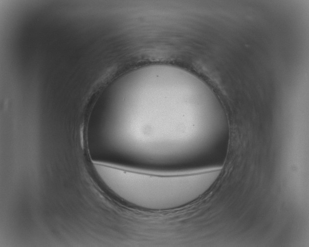 X0000073490019200607310928