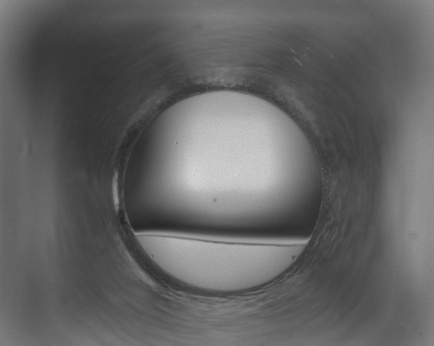 X0000073490020200607310928