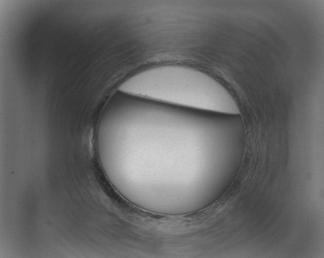 X0000073490024200607310928