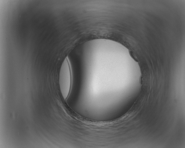 X0000073490040200607310928