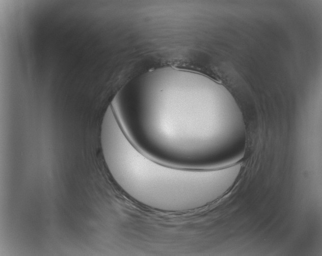 X0000073490041200607310928