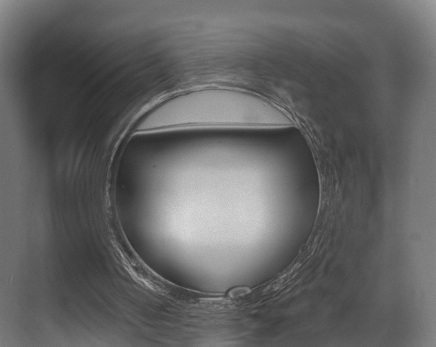X0000073490050200607310927