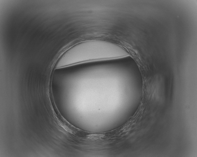 X0000073490051200607310927