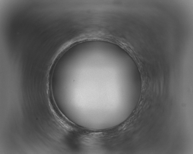 X0000073490054200607310927