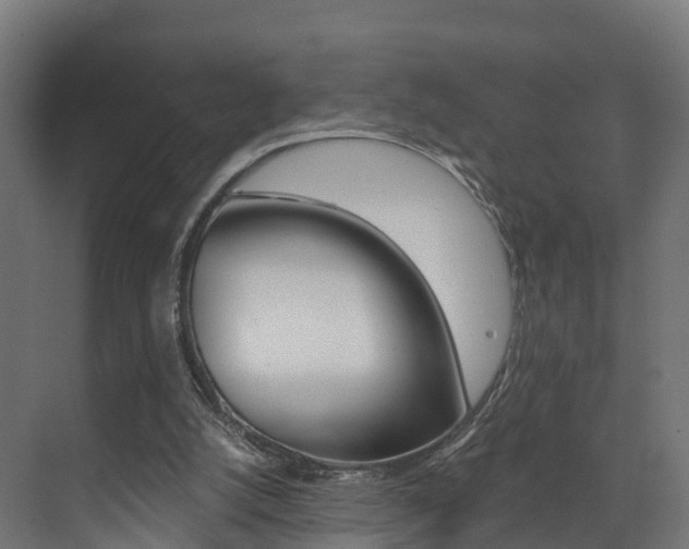 X0000073490056200607310927