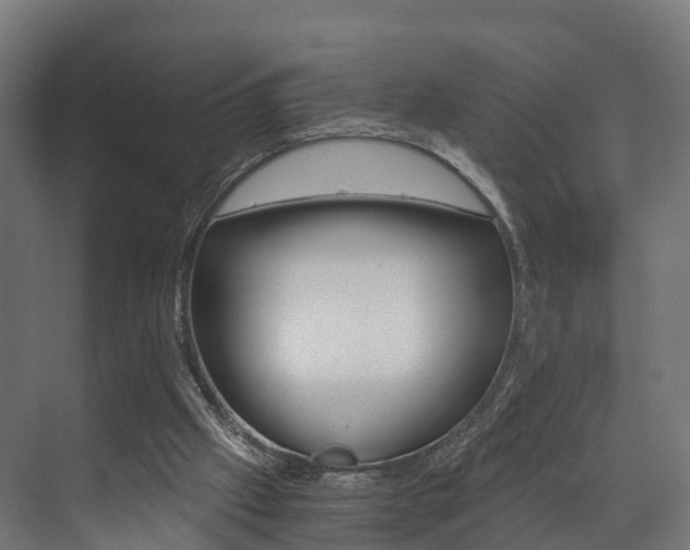 X0000073490057200607310927