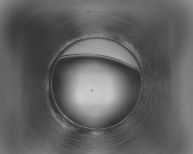 X0000073490060200607310927