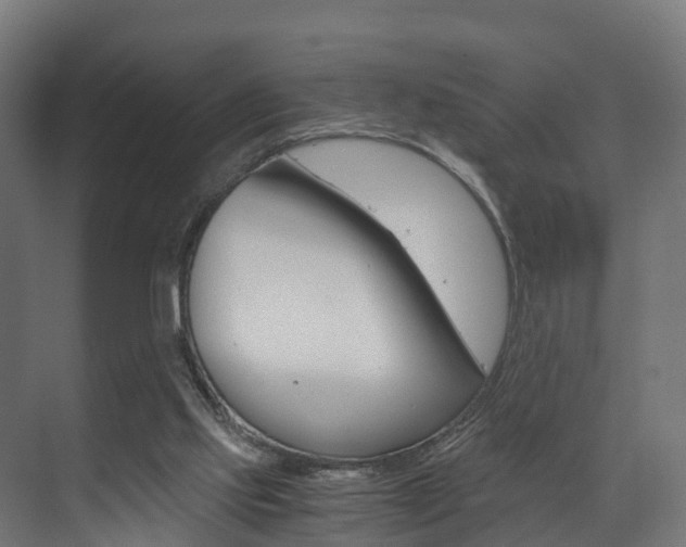 X0000073490061200607310927