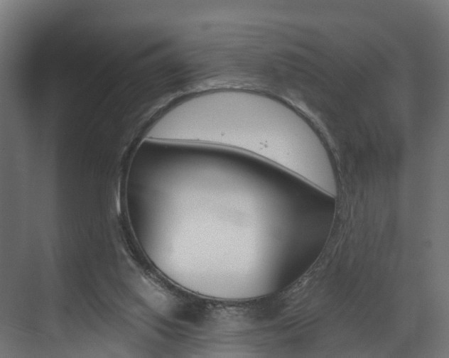 X0000073490062200607310927