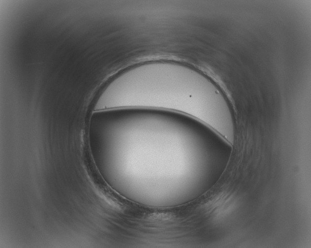 X0000073490063200607310927