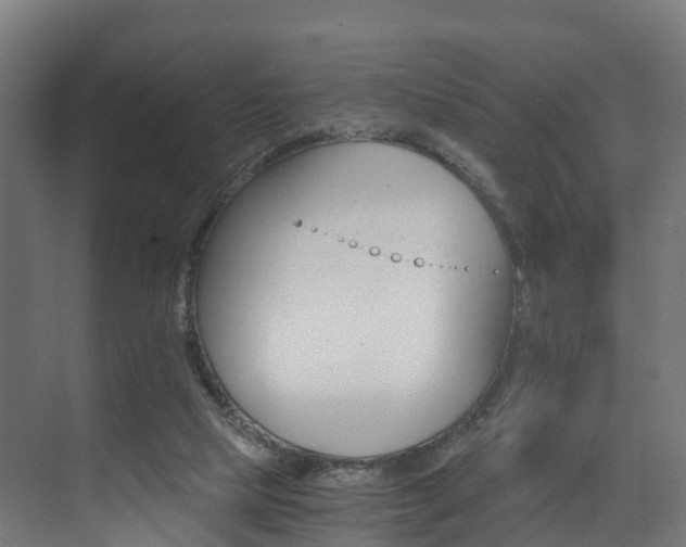 X0000073490065200607310927