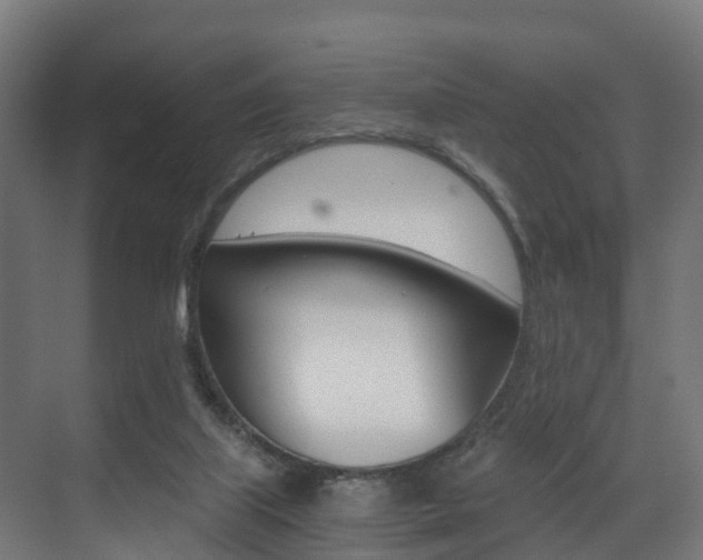 X0000073490067200607310927