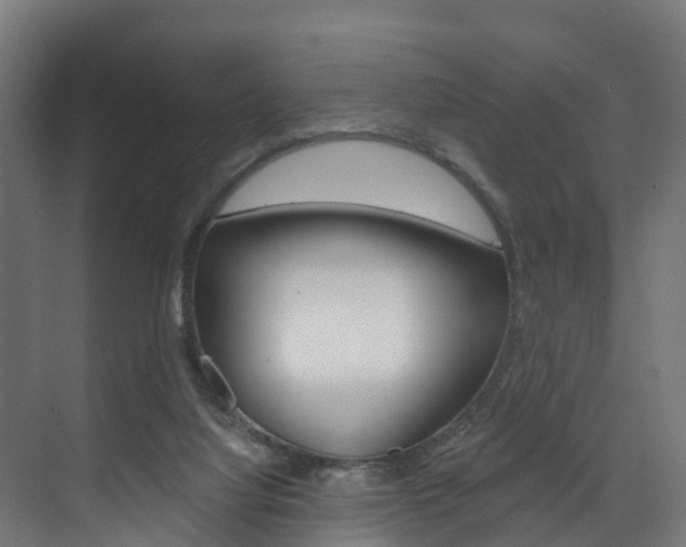 X0000073490068200607310927