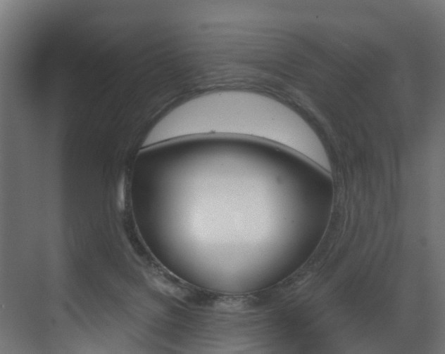 X0000073490076200607310928