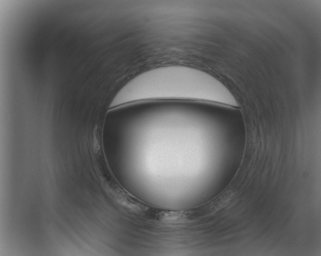 X0000073490088200607310928