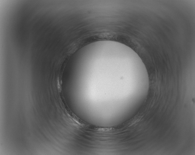 X0000073490089200607310928