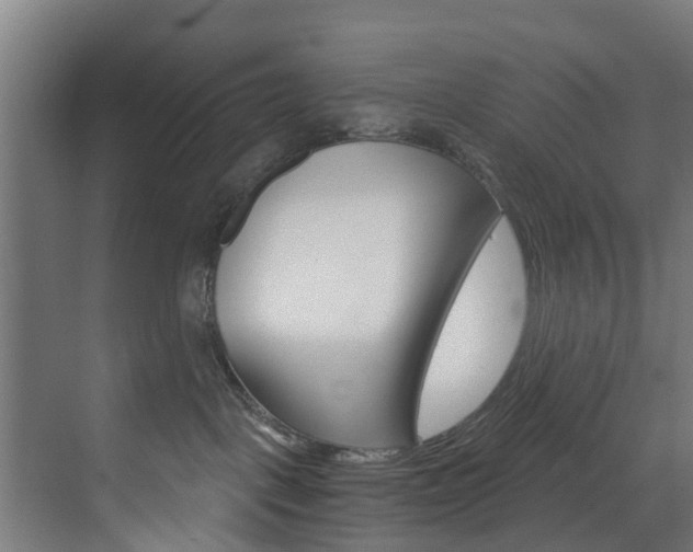 X0000073490093200607310928