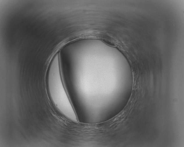 X0000073490099200607310927