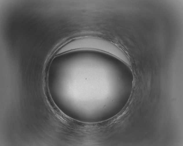 X0000073490101200607310927