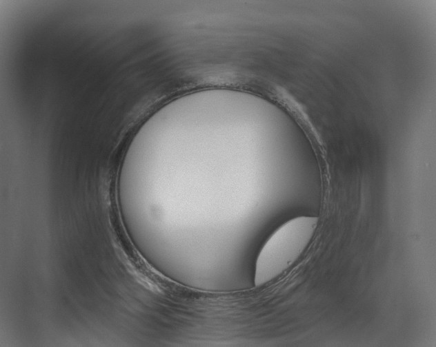 X0000073490106200607310927