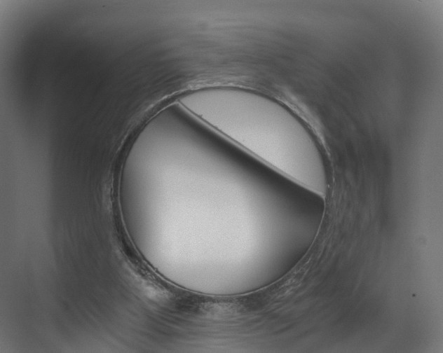X0000073490107200607310927