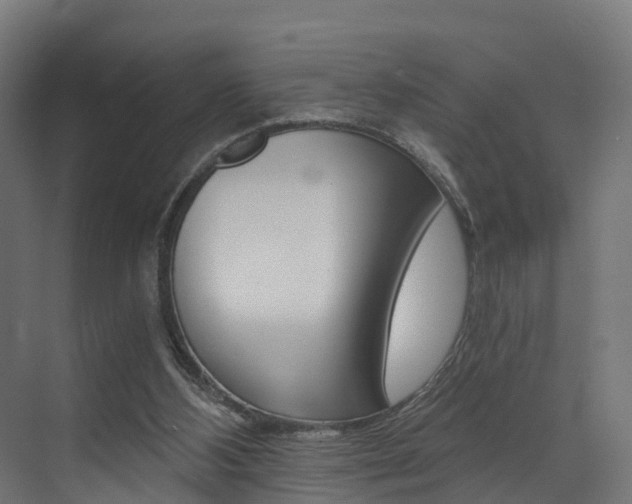 X0000073490108200607310927