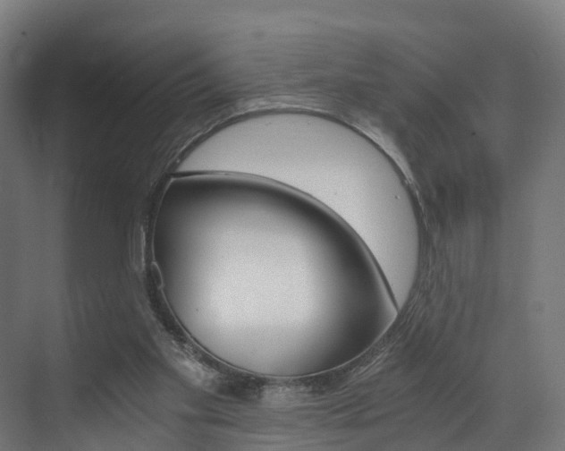 X0000073490109200607310927
